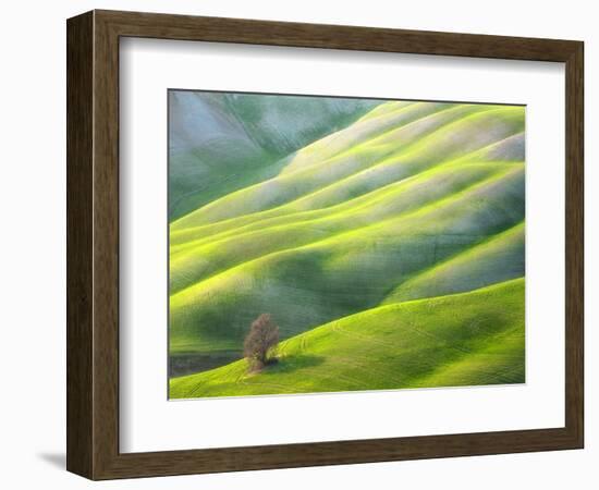 Red Tree-Marcin Sobas-Framed Photographic Print
