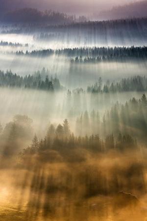 Photographic Print, , small