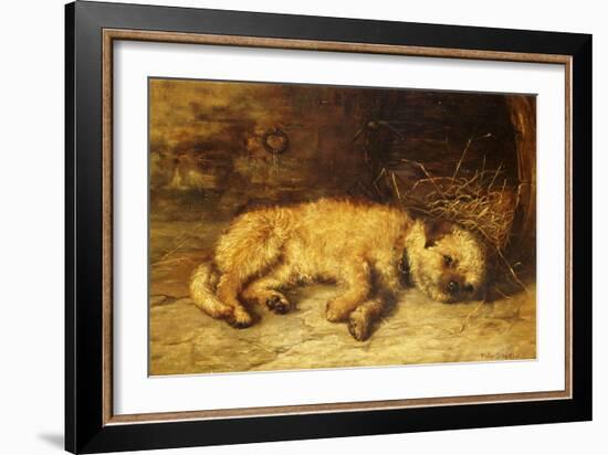 A Border Terrier Puppy-Philip Eustace Stretton-Framed Giclee Print