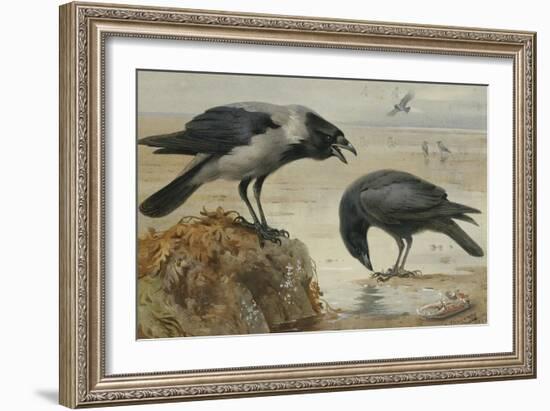 A Hooded Crow and a Carrion Crow-Archibald Thorburn-Framed Giclee Print