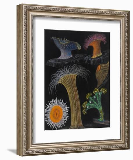 Anemones and Stalked Jellyfish-Philip Henry Gosse-Framed Giclee Print