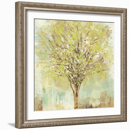 Jade Tree-Allison Pearce-Framed Art Print