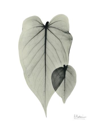 Premium Giclee Print, , small