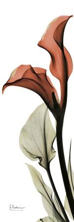 Premium Giclee Print, , small