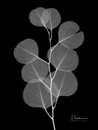 Premium Giclee Print, , small