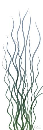Premium Giclee Print, , small