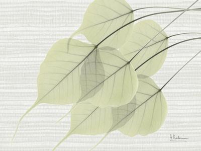 Premium Giclee Print, , small