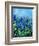 Muscari-Pol Ledent-Framed Art Print