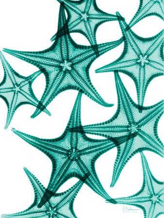 Premium Giclee Print, , small