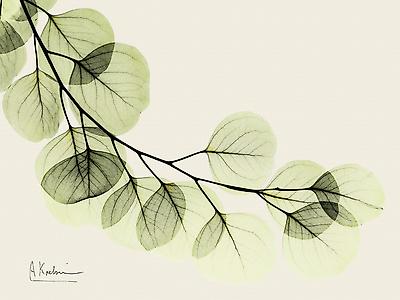 Premium Giclee Print, , small