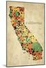 California County Map-David Bowman-Mounted Giclee Print