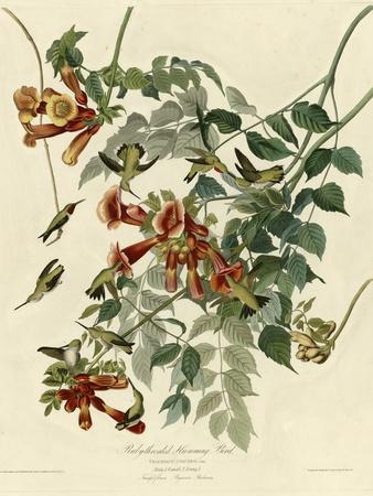 Premium Giclee Print, , small