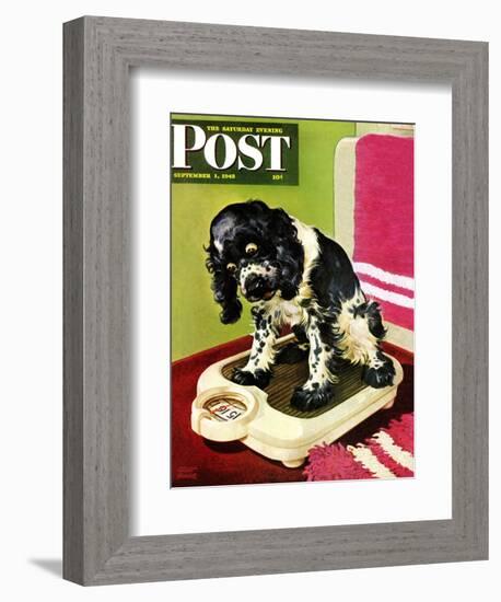 "Butch Weighs In," Saturday Evening Post Cover, September 1, 1945-Albert Staehle-Framed Giclee Print