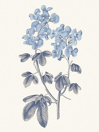 Premium Giclee Print, , small