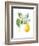 Floursack Lemon I on White-Danhui Nai-Framed Art Print