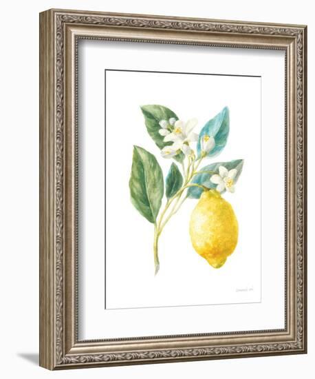 Floursack Lemon I on White-Danhui Nai-Framed Art Print