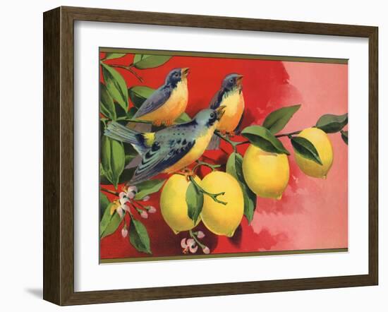 Birds on Lemon Branch - Citrus Crate Label-Lantern Press-Framed Art Print