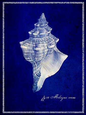 Premium Giclee Print, , small