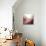 New Rose Quartz B-GI ArtLab-Giclee Print displayed on a wall