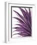 Violet Palms 1-Emma Jones-Framed Giclee Print