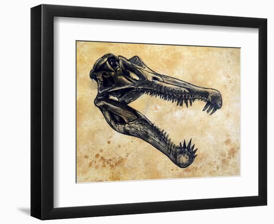 Spinosaurus Dinosaur Skull-Stocktrek Images-Framed Art Print