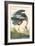 Great Blue Heron-John James Audubon-Framed Art Print