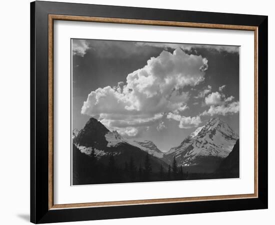 Tops Of Pine Trees Snow Covered "In Glacier National Park" Montana. 1933-1942-Ansel Adams-Framed Art Print