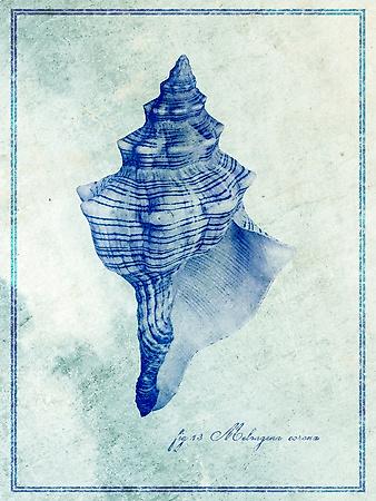 Premium Giclee Print, , small