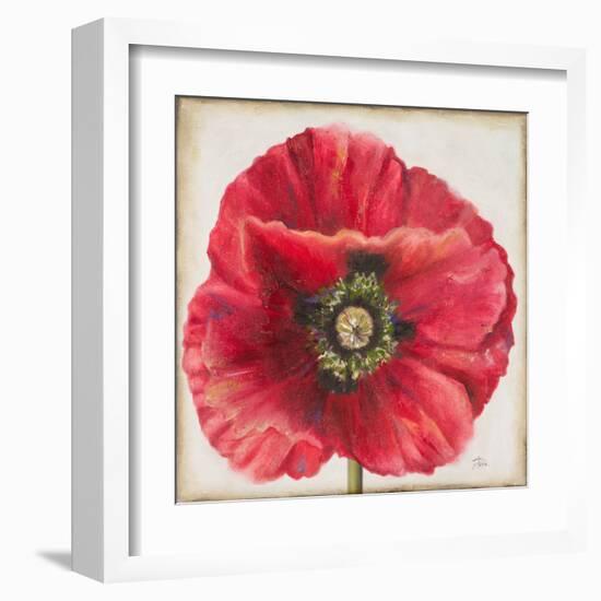 Red Poppy-Patricia Pinto-Framed Art Print