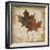 Natural Leaves IV-Patricia Pinto-Framed Premium Giclee Print