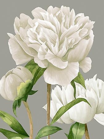Premium Giclee Print, , small