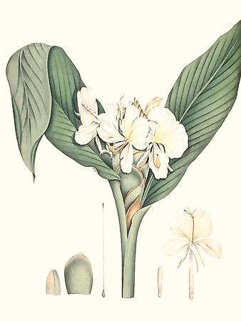 Premium Giclee Print, , small
