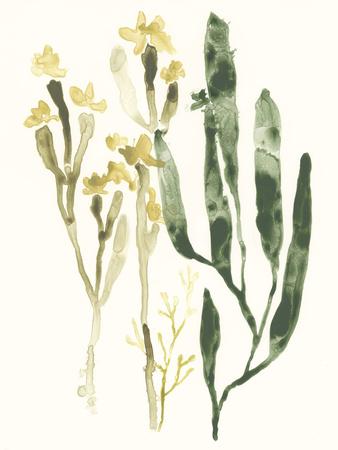 Premium Giclee Print, , small