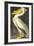 American White Pelican-John James Audubon-Framed Art Print