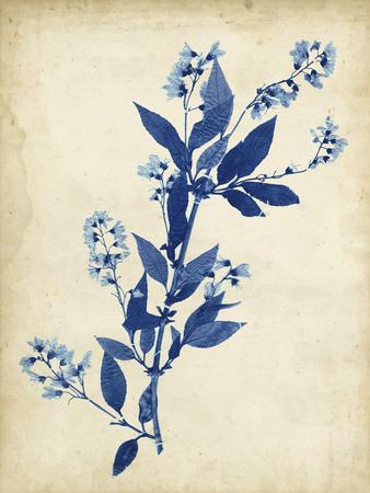 Premium Giclee Print, , small