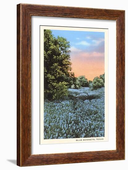 Field of Bluebonnets, Texas-null-Framed Art Print