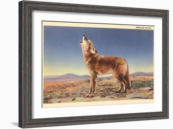 Howling Coyote-null-Framed Art Print