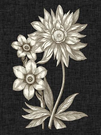 Premium Giclee Print, , small