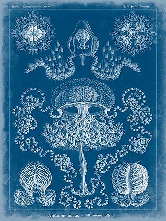 Premium Giclee Print, , small
