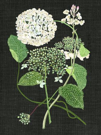 Premium Giclee Print, , small