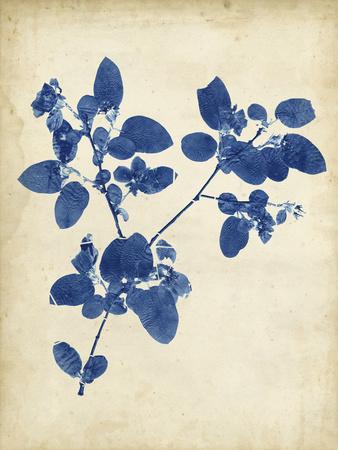 Premium Giclee Print, , small