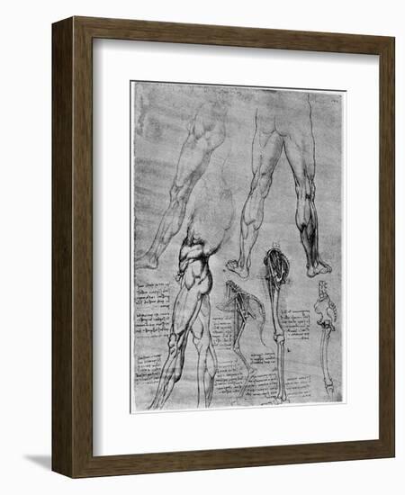 Studies in Comparative Anatomy, 1506-1507-Leonardo da Vinci-Framed Giclee Print