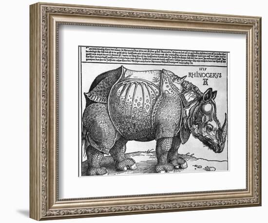 Rhinoceros, Print Given to Maximilian I by the King of Lisbon, 1515-Albrecht Durer-Framed Giclee Print