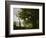 Memory of Mortefontaine, France, 1864-Jean-Baptiste-Camille Corot-Framed Giclee Print