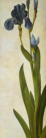 Premium Giclee Print, , small