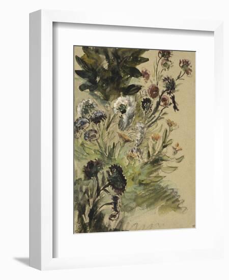Etudes de fleurs : Soucis, hortensias et reines- marguerites; vers 1840-1850-Eugene Delacroix-Framed Giclee Print