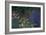 Waterlilies (Les Nympheas), Study of the Morning Water-Claude Monet-Framed Giclee Print