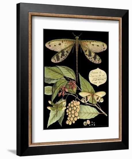 Whimsical Dragonfly on Black I-Vision Studio-Framed Art Print