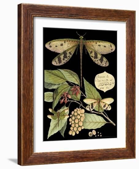 Whimsical Dragonfly on Black I-Vision Studio-Framed Art Print