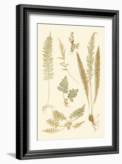 Fern Impressions III-Henry Bradbury-Framed Art Print